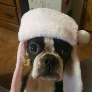 Meet your Posher, Monica